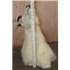 Image 7 : MOUNTAIN GOAT Shoulder Mount