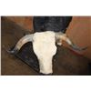 Image 5 : Massive "Bucking" BULL on a Custom Metal Stand