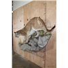 Image 3 : Big Life-sized MOUNTAIN LION or COUGAR on a Decorative Rock Wall Base