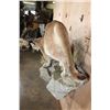 Image 7 : Big Life-sized MOUNTAIN LION or COUGAR on a Decorative Rock Wall Base