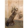 Image 8 : XXL 24-Point MOOSE Shoulder Mount