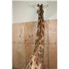 Image 10 : XXL GIRAFFE Pedestal Mount with Wheels