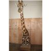 Image 1 : XXL GIRAFFE Pedestal Mount with Wheels