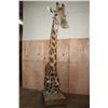 Image 2 : XXL GIRAFFE Pedestal Mount with Wheels