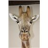 Image 6 : XXL GIRAFFE Pedestal Mount with Wheels