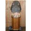 Image 2 : *Real Skin* HIPPOPOTAMUS Pedestal Mount with Reproduction Teeth
