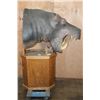 Image 4 : *Real Skin* HIPPOPOTAMUS Pedestal Mount with Reproduction Teeth