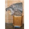 Image 5 : *Real Skin* HIPPOPOTAMUS Pedestal Mount with Reproduction Teeth