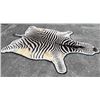 Image 1 : Huge Double-Felted ZEBRA Rug