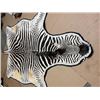 Image 2 : Huge Double-Felted ZEBRA Rug