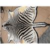 Image 4 : Huge Double-Felted ZEBRA Rug