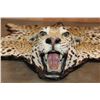 Image 2 : *TEXAS RESIDENTS ONLY* JAGUAR Hide Rug with its Head, All its Claws, and Double Felted Backing
