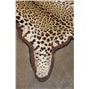 Image 8 : *TEXAS RESIDENTS ONLY* JAGUAR Hide Rug with its Head, All its Claws, and Double Felted Backing
