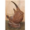 Image 1 : *TEXAS RESIDENTS ONLY* *Real Skin, Real Horn* BLACK RHINOCEROS Shoulder Mount