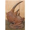 Image 3 : *TEXAS RESIDENTS ONLY* *Real Skin, Real Horn* BLACK RHINOCEROS Shoulder Mount
