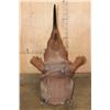 Image 4 : *TEXAS RESIDENTS ONLY* *Real Skin, Real Horn* BLACK RHINOCEROS Shoulder Mount