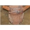 Image 5 : *TEXAS RESIDENTS ONLY* *Real Skin, Real Horn* BLACK RHINOCEROS Shoulder Mount
