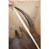 Image 7 : *TEXAS RESIDENTS ONLY* *Real Skin, Real Horn* BLACK RHINOCEROS Shoulder Mount