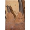 Image 9 : *TEXAS RESIDENTS ONLY* *Real Skin, Real Horn* BLACK RHINOCEROS Shoulder Mount