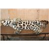 Image 12 : *TEXAS RESIDENTS ONLY* Life-sized Freestanding JAGUAR