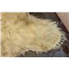 Image 10 : POLAR BEAR Hide Rug with its Mounted Head, Paws, and Claws