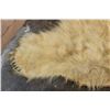 Image 11 : POLAR BEAR Hide Rug with its Mounted Head, Paws, and Claws