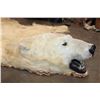Image 13 : POLAR BEAR Hide Rug with its Mounted Head, Paws, and Claws