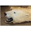 Image 14 : POLAR BEAR Hide Rug with its Mounted Head, Paws, and Claws
