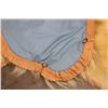 Image 16 : POLAR BEAR Hide Rug with its Mounted Head, Paws, and Claws