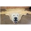 Image 1 : POLAR BEAR Hide Rug with its Mounted Head, Paws, and Claws