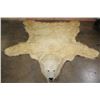 Image 2 : POLAR BEAR Hide Rug with its Mounted Head, Paws, and Claws