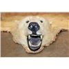 Image 3 : POLAR BEAR Hide Rug with its Mounted Head, Paws, and Claws