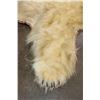 Image 5 : POLAR BEAR Hide Rug with its Mounted Head, Paws, and Claws