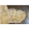 Image 6 : POLAR BEAR Hide Rug with its Mounted Head, Paws, and Claws