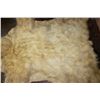 Image 8 : POLAR BEAR Hide Rug with its Mounted Head, Paws, and Claws