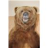 Image 11 : XXL Life-sized Standing BROWN BEAR on a Decorative Wood Base with Wheels