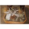 Image 13 : XXL Life-sized Standing BROWN BEAR on a Decorative Wood Base with Wheels