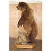 Image 4 : XXL Life-sized Standing BROWN BEAR on a Decorative Wood Base with Wheels