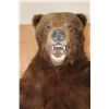 Image 5 : XL Standing BROWN BEAR on a Wood Base with Wheels