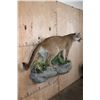 Image 3 : Life-sized MOUNTAIN LION or COUGAR on a Decorative Wall Base