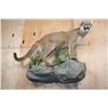 Image 8 : Life-sized MOUNTAIN LION or COUGAR on a Decorative Wall Base