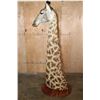Image 10 : GIRAFFE Pedestal Mount