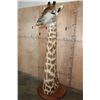 Image 1 : GIRAFFE Pedestal Mount