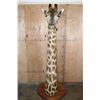 Image 2 : GIRAFFE Pedestal Mount