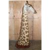 Image 4 : GIRAFFE Pedestal Mount