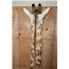 Image 8 : GIRAFFE Pedestal Mount