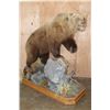 Image 1 : XXL Life-sized BROWN BEAR or GRIZZLY BEAR on a Decorative Rock Base with Wheels