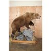Image 3 : XXL Life-sized BROWN BEAR or GRIZZLY BEAR on a Decorative Rock Base with Wheels