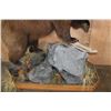 Image 5 : XXL Life-sized BROWN BEAR or GRIZZLY BEAR on a Decorative Rock Base with Wheels