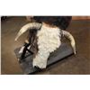 Image 6 : XXL Life-sized "Bucking" BULL on a Custom Metal Stand